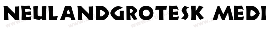 NeulandGrotesk Mediu字体转换